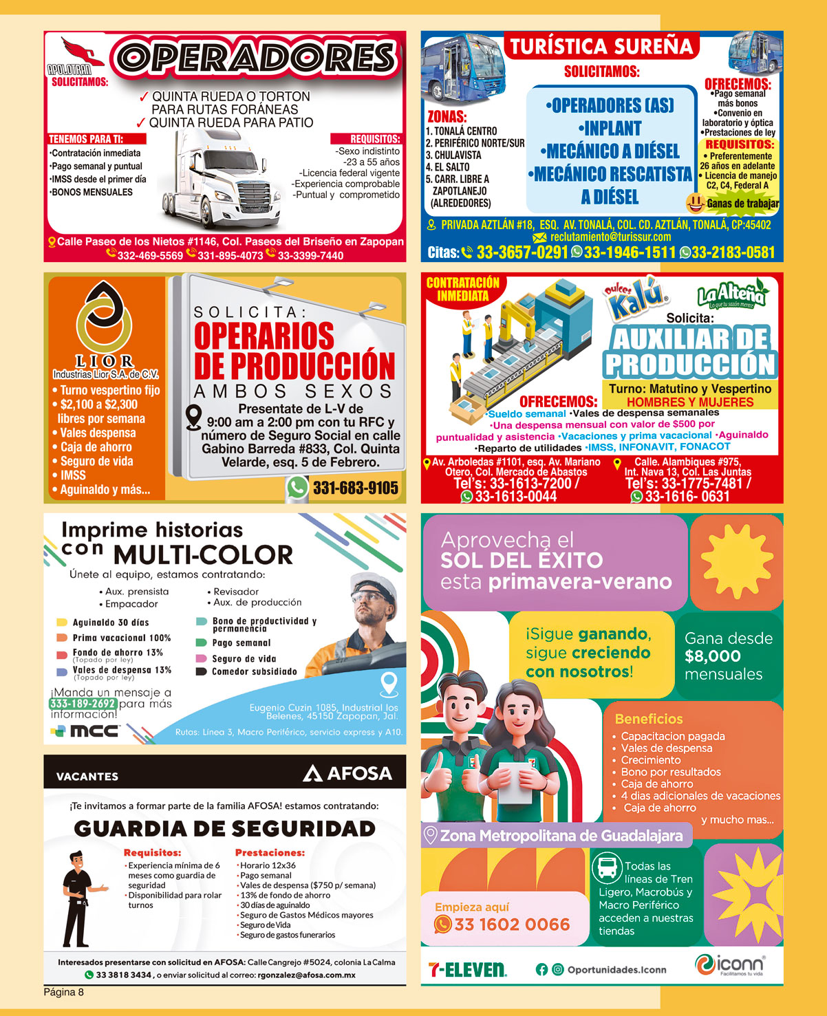 Periodico Solo Empleos